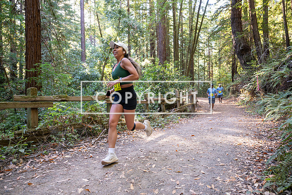 Coastal_Woodside26-565