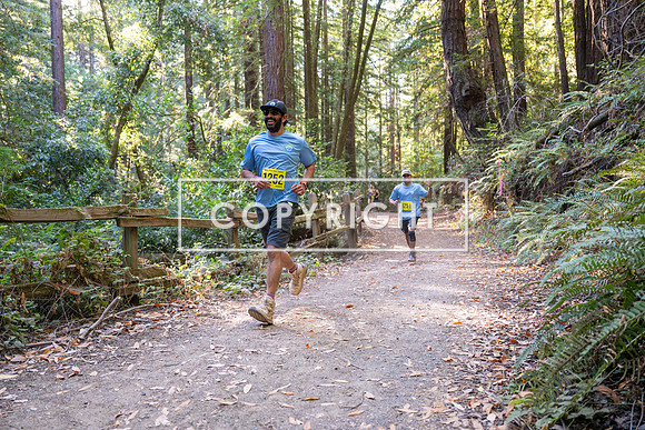 Coastal_Woodside26-566