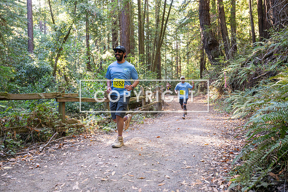 Coastal_Woodside26-567