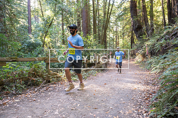 Coastal_Woodside26-568