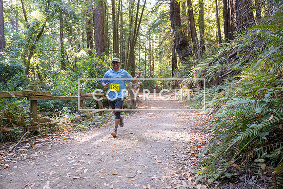 Coastal_Woodside26-569