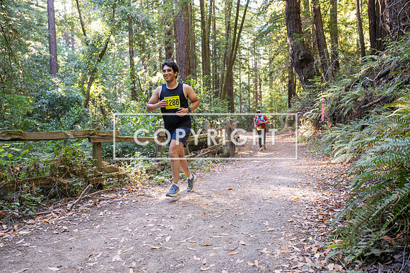 Coastal_Woodside26-577