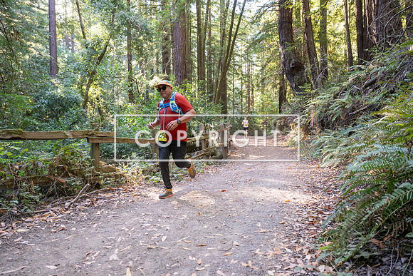 Coastal_Woodside26-578
