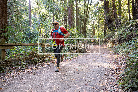 Coastal_Woodside26-579
