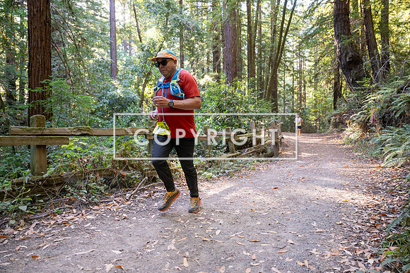Coastal_Woodside26-580