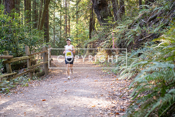 Coastal_Woodside26-581