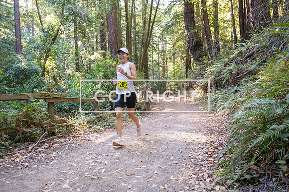 Coastal_Woodside26-582