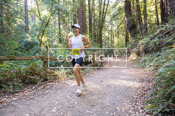 Coastal_Woodside26-583