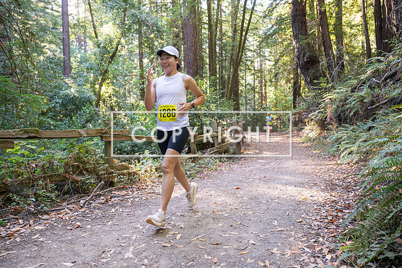 Coastal_Woodside26-584