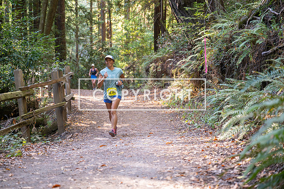 Coastal_Woodside26-585