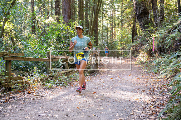 Coastal_Woodside26-586