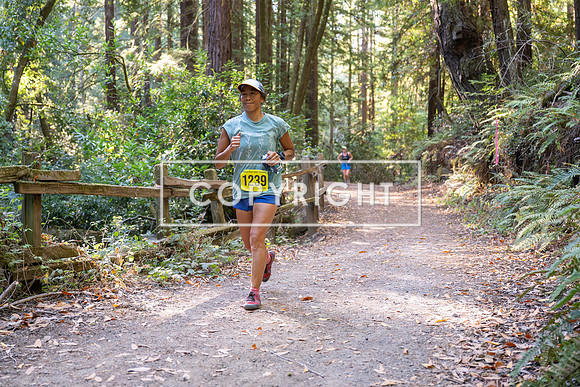Coastal_Woodside26-587