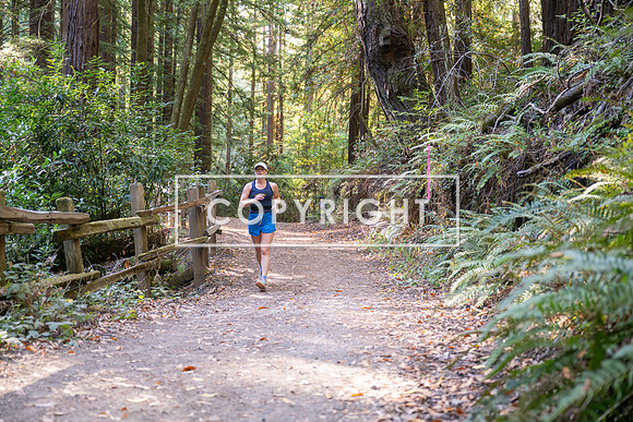 Coastal_Woodside26-588