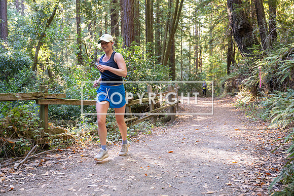 Coastal_Woodside26-589