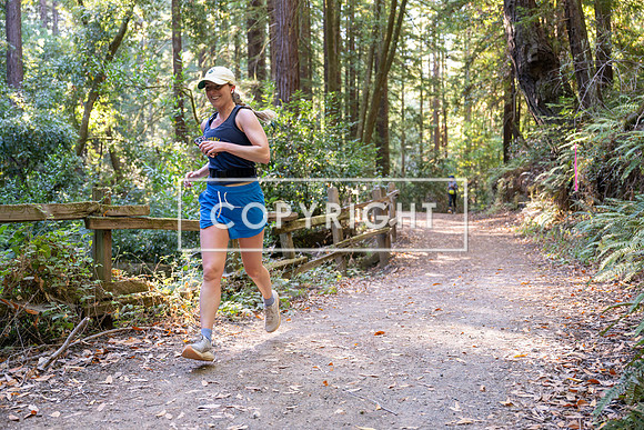 Coastal_Woodside26-590