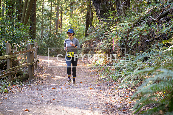 Coastal_Woodside26-591