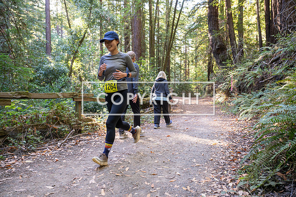 Coastal_Woodside26-592