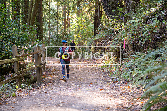 Coastal_Woodside26-594