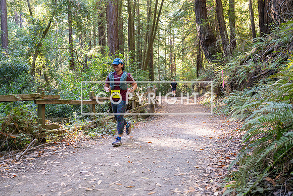Coastal_Woodside26-595