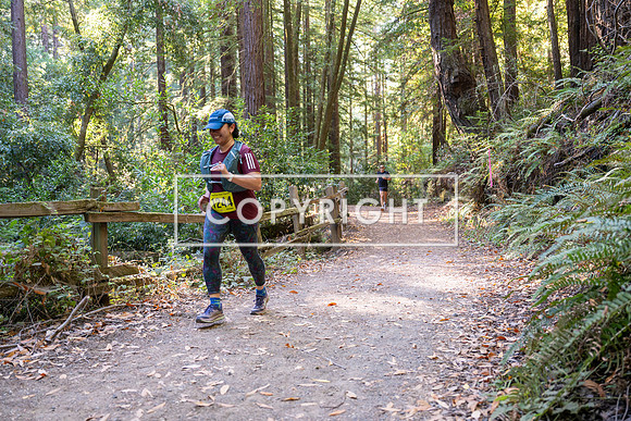 Coastal_Woodside26-596