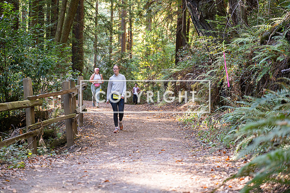 Coastal_Woodside26-597