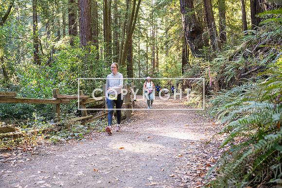 Coastal_Woodside26-598