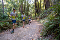 Coastal_Woodside26-476