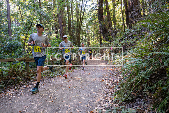Coastal_Woodside26-476