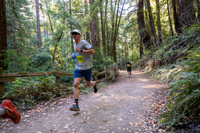Coastal_Woodside26-477