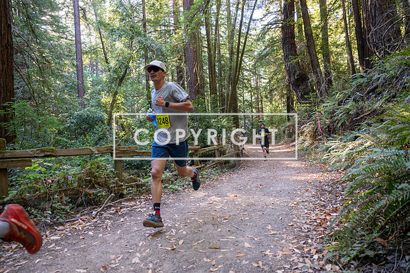 Coastal_Woodside26-477