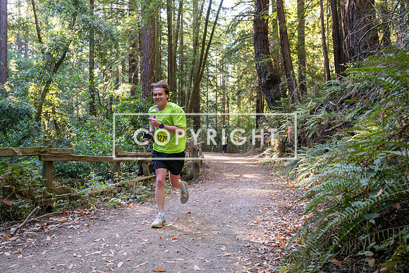 Coastal_Woodside26-503