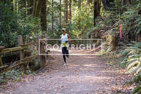 Coastal_Woodside26-504