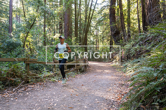 Coastal_Woodside26-505