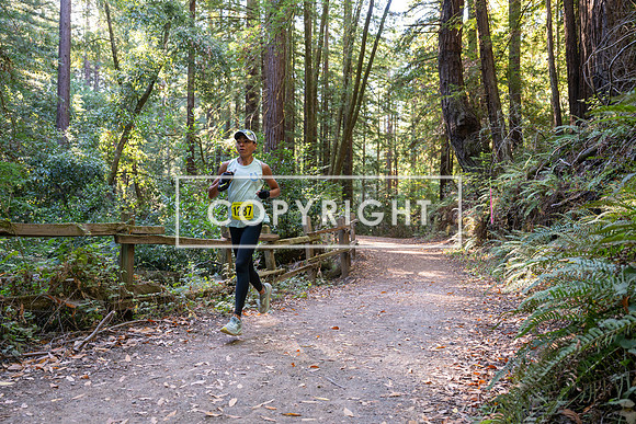 Coastal_Woodside26-506