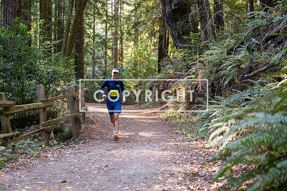 Coastal_Woodside26-507