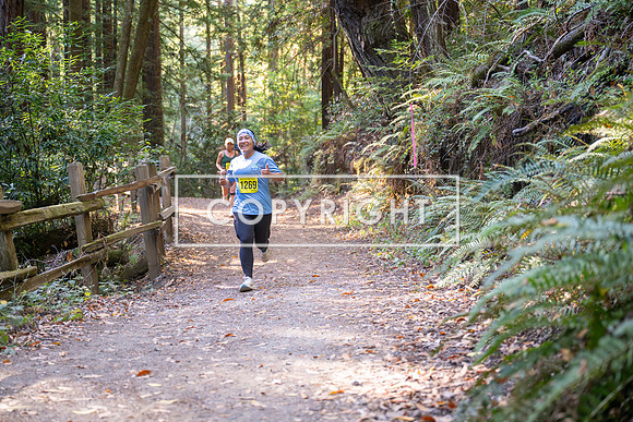Coastal_Woodside26-559