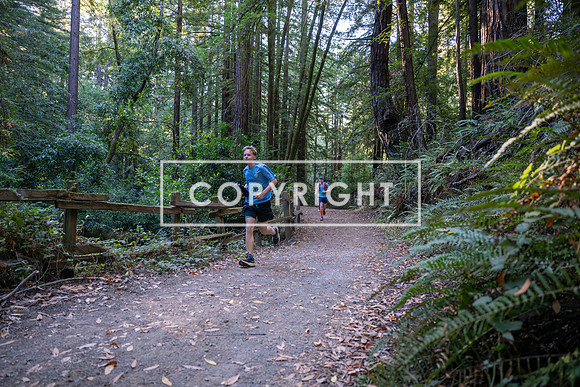 Coastal_Woodside26-026
