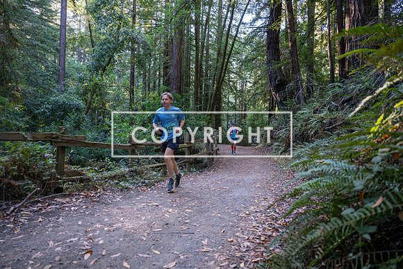 Coastal_Woodside26-027