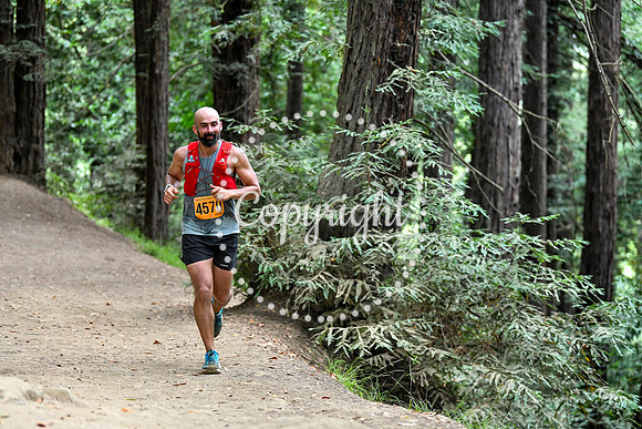 Coastal_RedwoodSummer-036