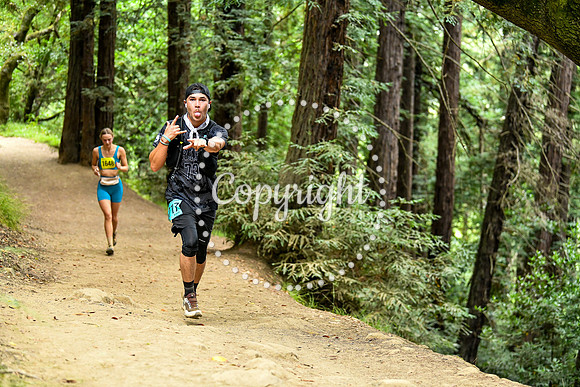 Coastal_RedwoodSummer-022