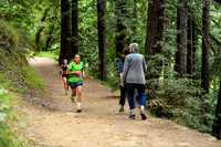 Coastal_RedwoodSummer-007
