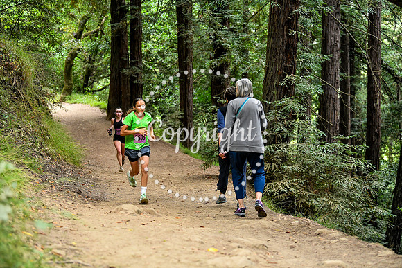 Coastal_RedwoodSummer-007