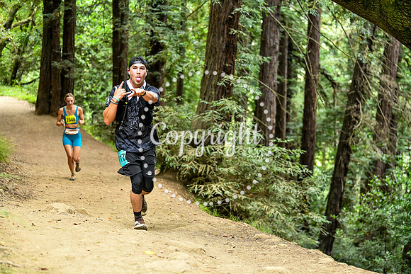 Coastal_RedwoodSummer-021