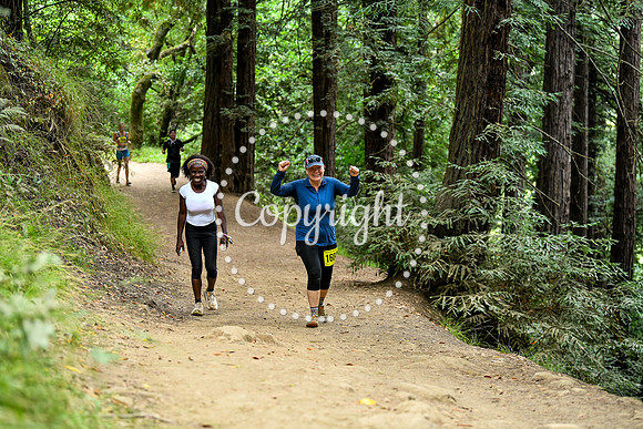 Coastal_RedwoodSummer-029