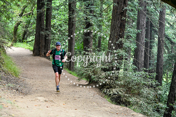 Coastal_RedwoodSummer-077