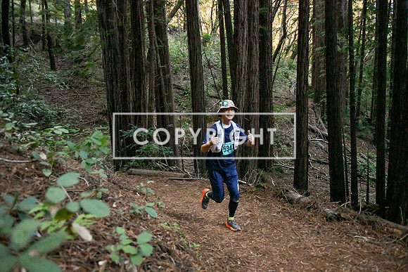 Crystal Springs-0093