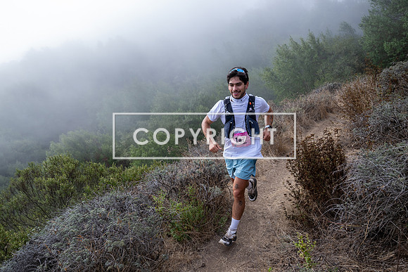 DickCollins_Firetrails_2026-004