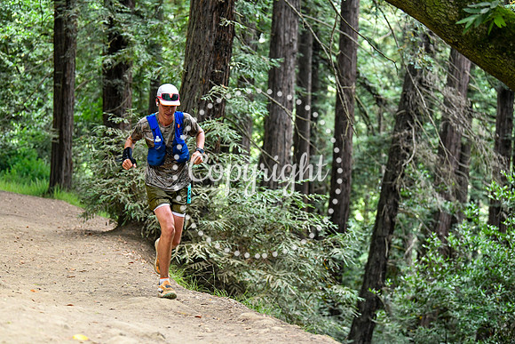 Coastal_RedwoodSummer-091