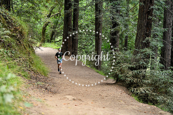 Coastal_RedwoodSummer-067