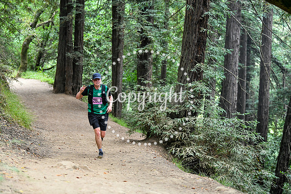 Coastal_RedwoodSummer-076